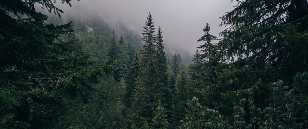 Återvunnet guld - Vi värnar om miljö och mänskliga rättigheter